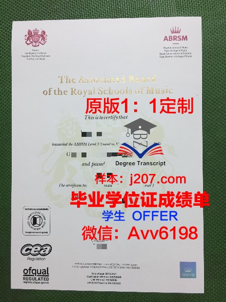 罗维戈音乐学院毕业证是什么样子(罗维音响师简介)