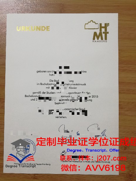 汉肯经济学院毕业证长什么样(汉堡大学经济学)