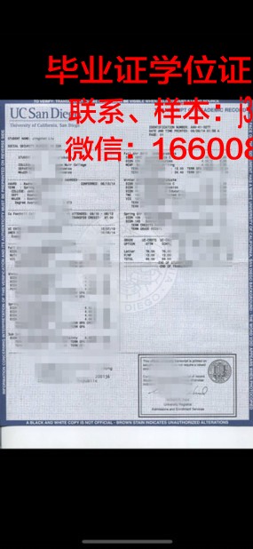明尼苏达大学德卢斯分校毕业学位