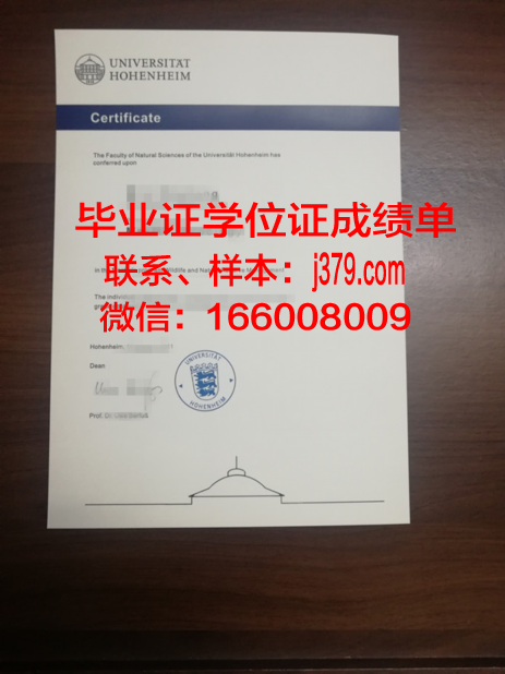 盖森海姆应用技术大学毕业证是什么样子