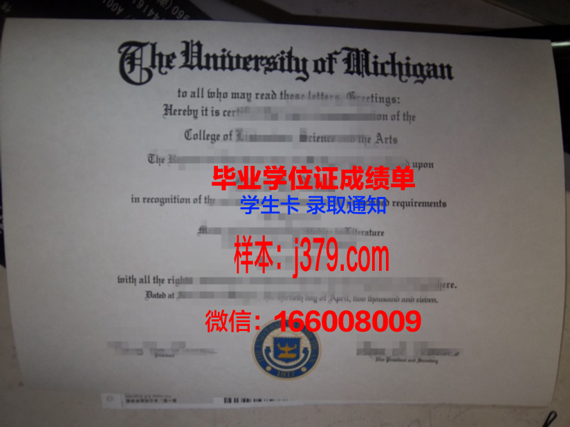 大田保健大学毕业证是什么模样