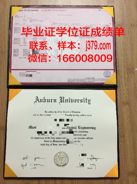 莱奥本矿业大学毕业证是什么模样(莱奥本矿业大学国际排名)