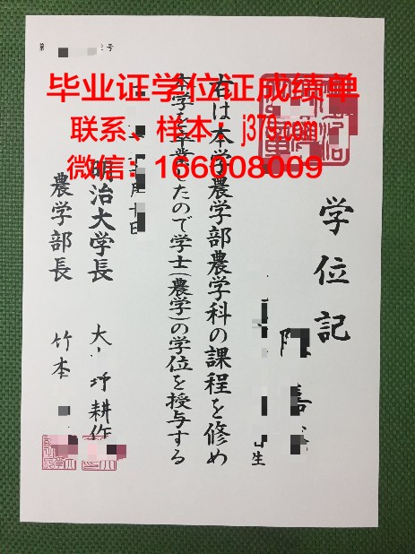 明治学院大学毕业证照片(明治大学毕业典礼)