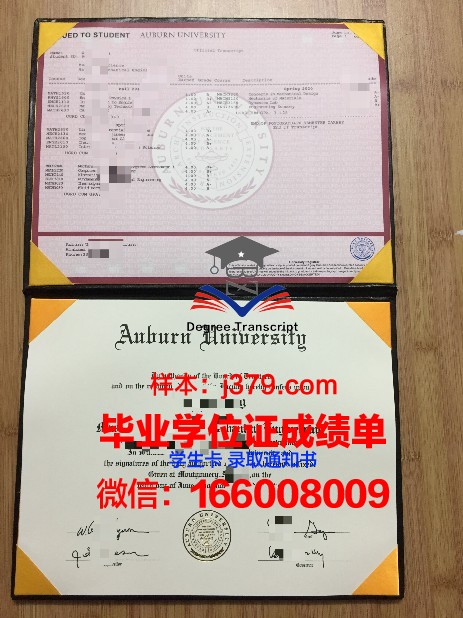 莱奥本矿业大学学位证书