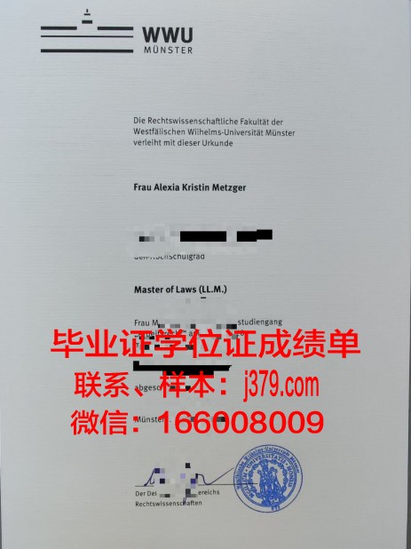 明斯特艺术学院毕业证书图片(明斯特高等专业学院)