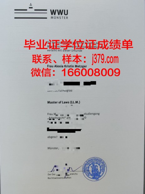 明斯特应用技术大学毕业证翻译(明斯特大学相当于国内哪所大学)