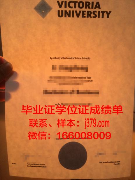 大维毕业证成绩单：记录成长足迹，彰显教育成果