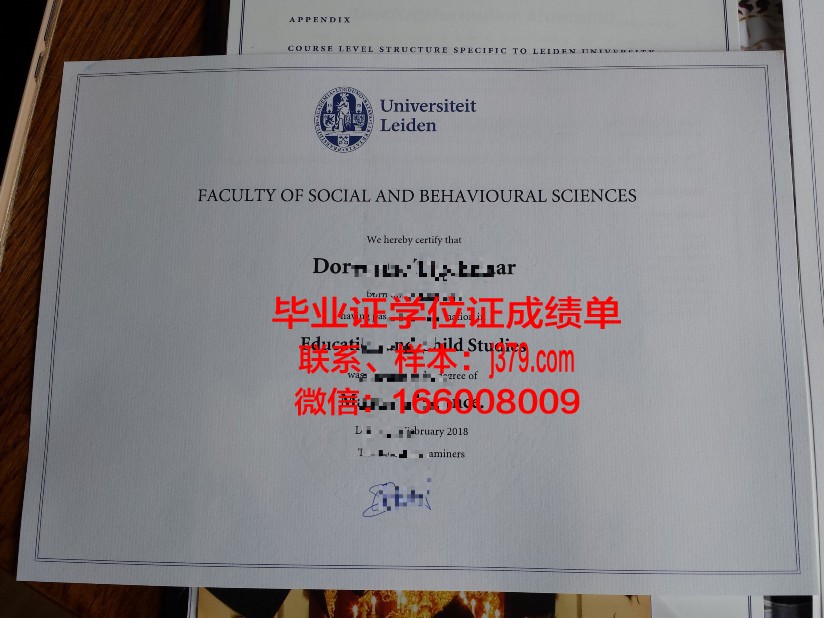 莱顿大学文凭(莱顿大学llm认可度)