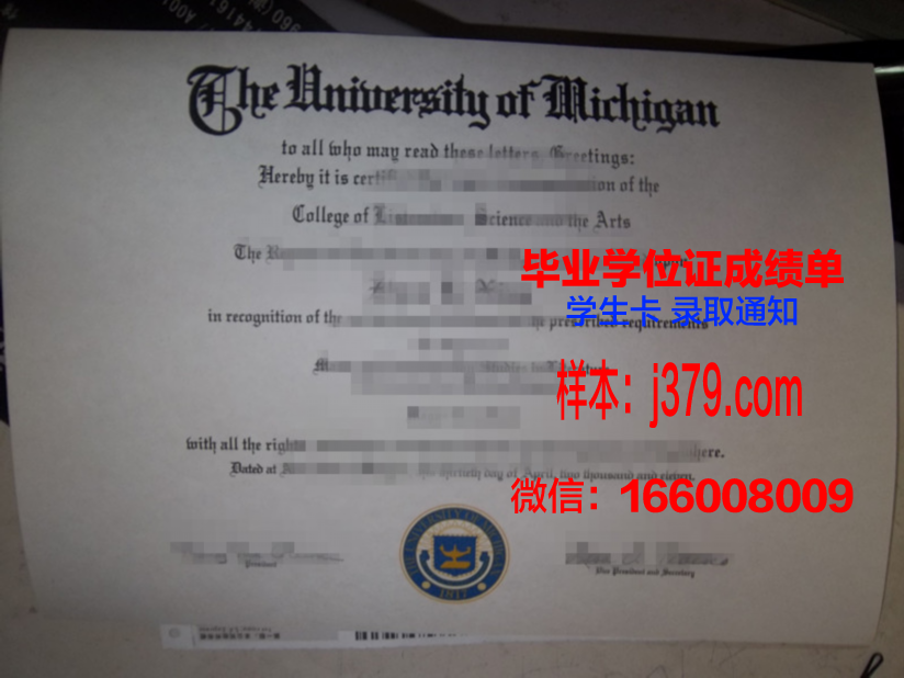 普茅博士毕业证：一张纸的重量与一份人生的荣耀