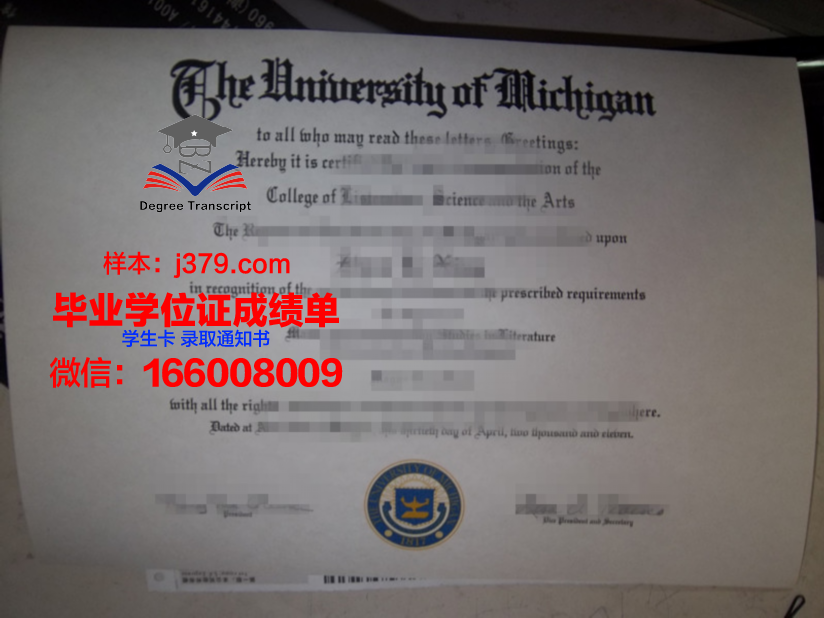 奈梅亨大学硕士毕业证:一张通往未来的通行证