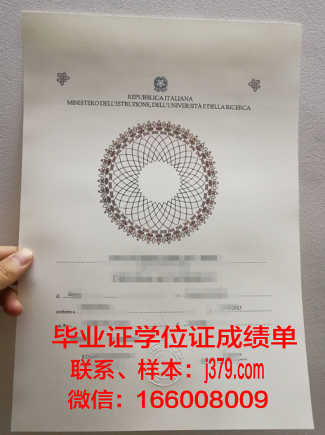 莱切美术学院毕业证高清图(莱切美院怎么样)