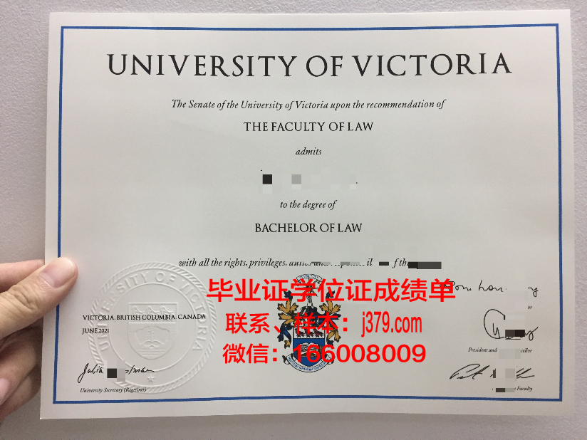 大维毕业证成绩单:记录成长足迹,彰显教育成果