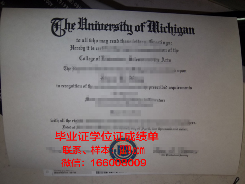 大学毕业证编号在哪里查询(大学毕业证编号在哪里可以查到)
