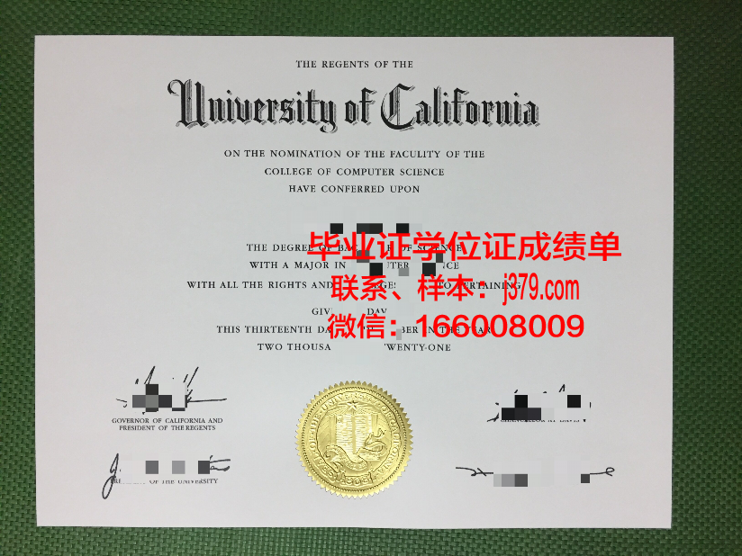 天理医疗大学毕业证认证成绩单Diploma
