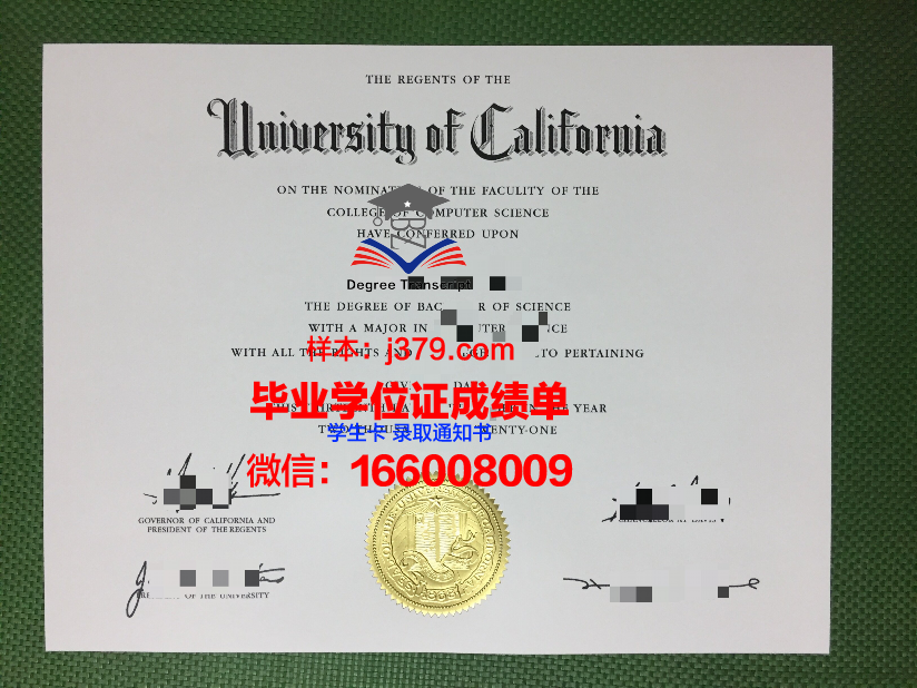 明尼苏达大学莫里斯分校毕业学位