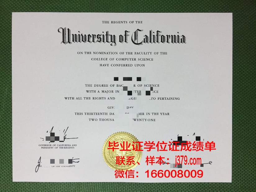 普大博士毕业证：一份沉甸甸的荣誉