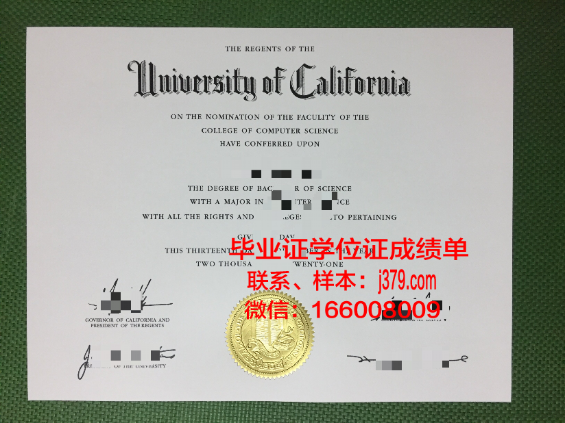 普茅博士毕业证：一张纸的重量与一份人生的荣耀