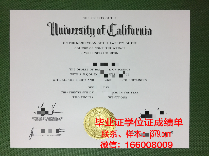 莱索夫学院毕业证：开启梦想之门的钥匙