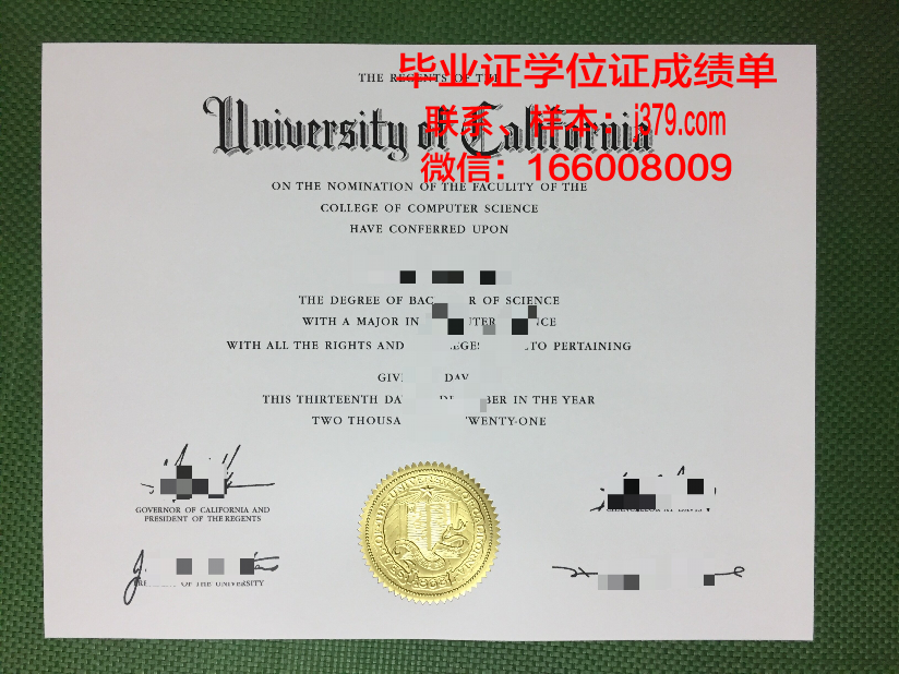 晨星大学毕业证真伪(大学毕业证真伪查询网)