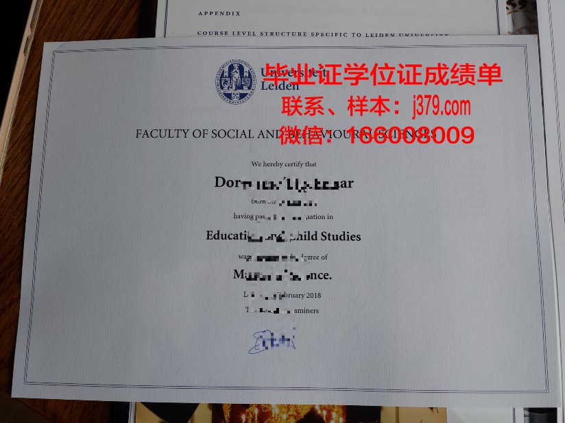 莱顿大学毕业证diploma