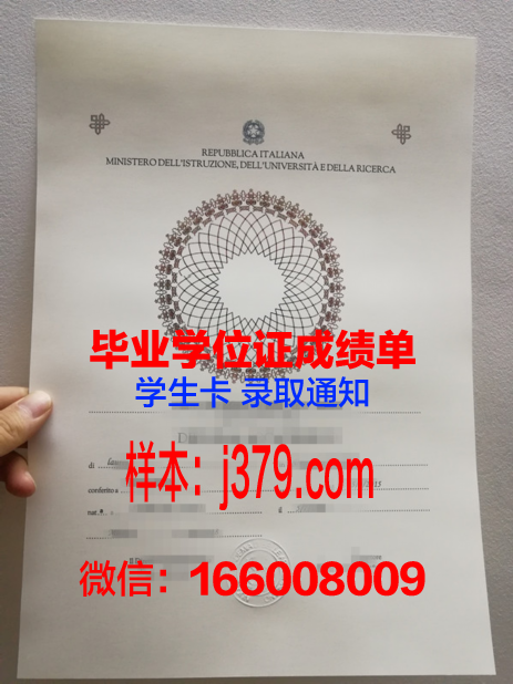 西兰商务与技术学院diploma证书
