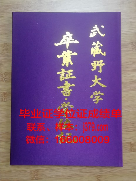 蔚山科学技术院毕业证壳子
