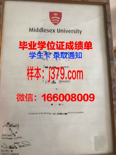 普林斯顿大学毕业证翻译成英语(普林斯顿大学毕业典礼)