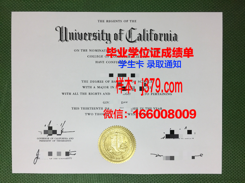 明知大学毕业证好找工作吗(只有大学毕业证找工作)