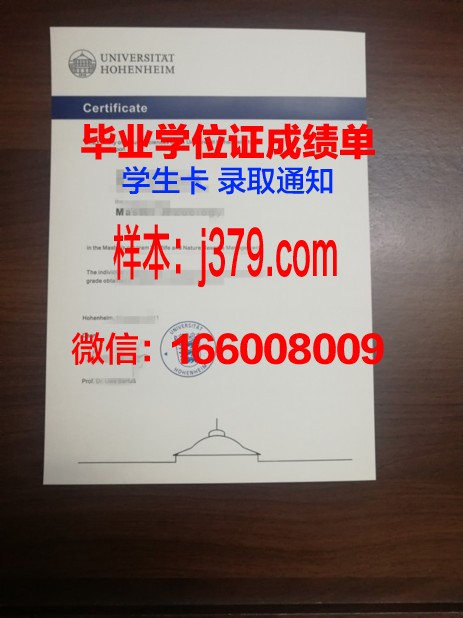 普福尔茨海姆应用技术大学学位证(普福尔茨海姆首饰博物馆)