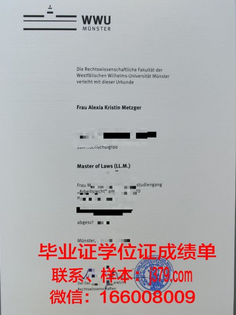 明斯特大学学历证书(明斯特大学bwl)