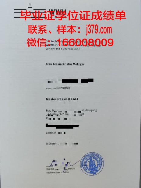 明斯特造型艺术学院毕业文凭