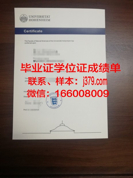盖森海姆应用技术大学毕业证是什么样子
