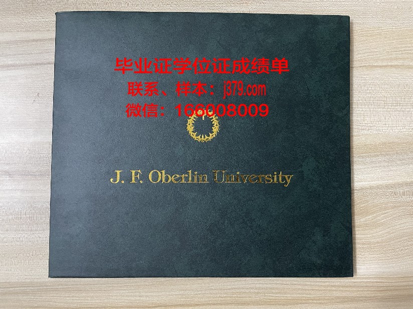 莱西姆大学八打雁校区毕业证原件(莱西姆大学国际排名)