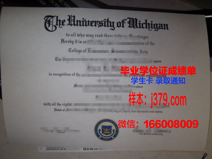 明尼阿波利斯艺术设计学院毕业证什么样子(明尼阿波利斯艺术博物馆)
