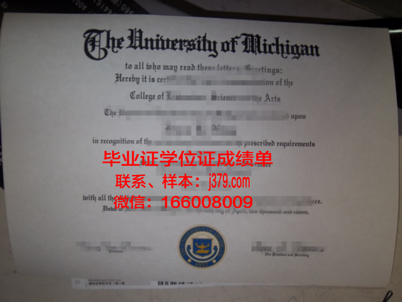 大田大学毕业证尺寸(大学毕业证尺寸大小)