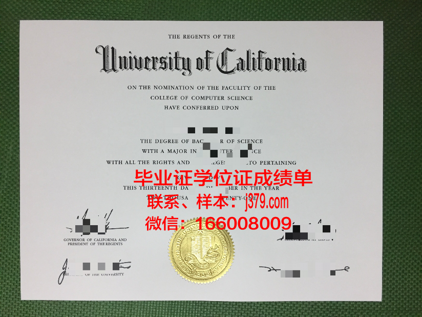 天大教本科毕业证：承载荣誉与梦想的证书