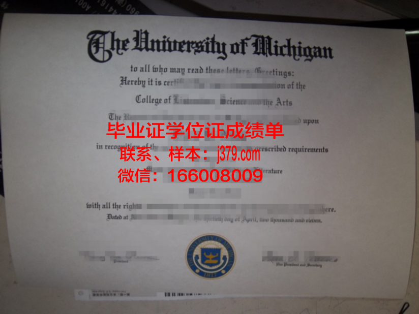大学毕业证被撕毁怎么办