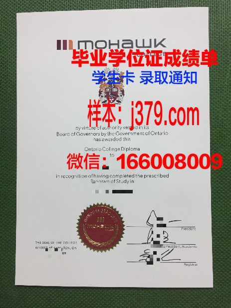 莫霍克应用艺术与技术学院学历证书(莫霍克科技有限公司怎么样)