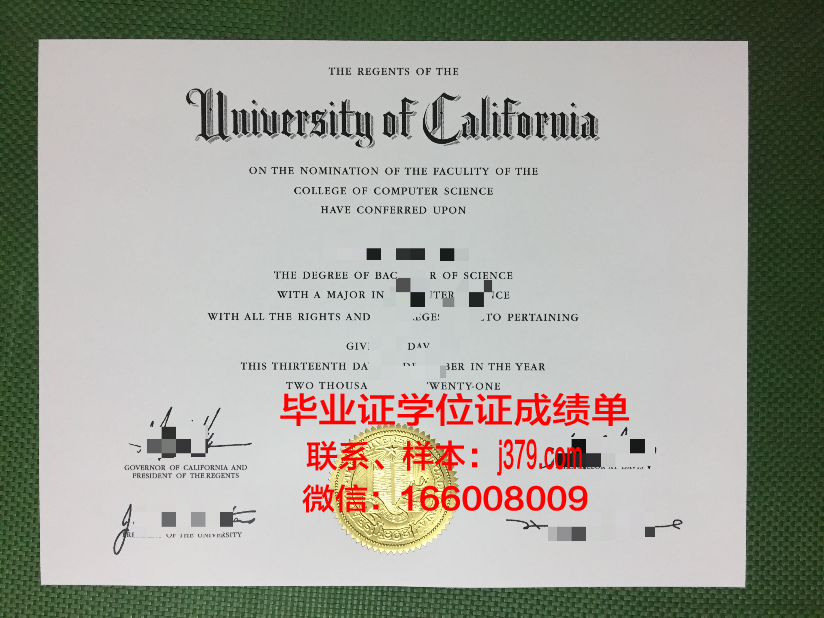 明尼苏达大学双城分校毕业证案例(明尼苏达大学双城校区)