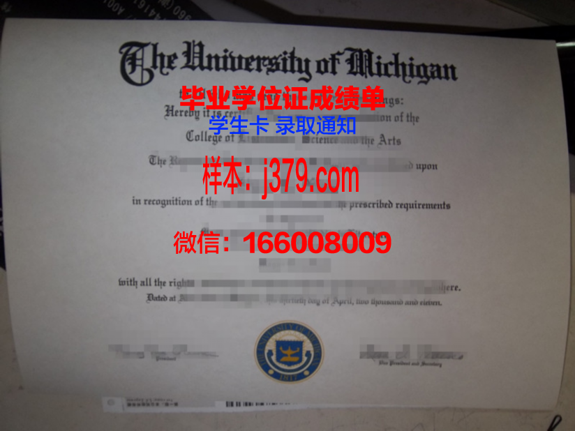 菜大毕业证成绩单：一张纸的重量与背后的故事