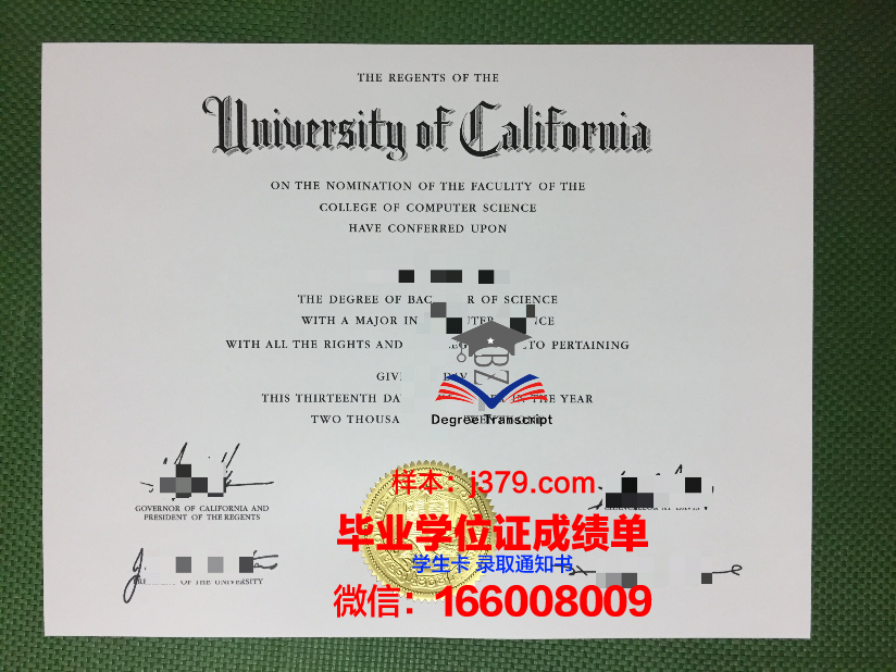 菜大毕业证成绩单：一张纸的重量与背后的故事