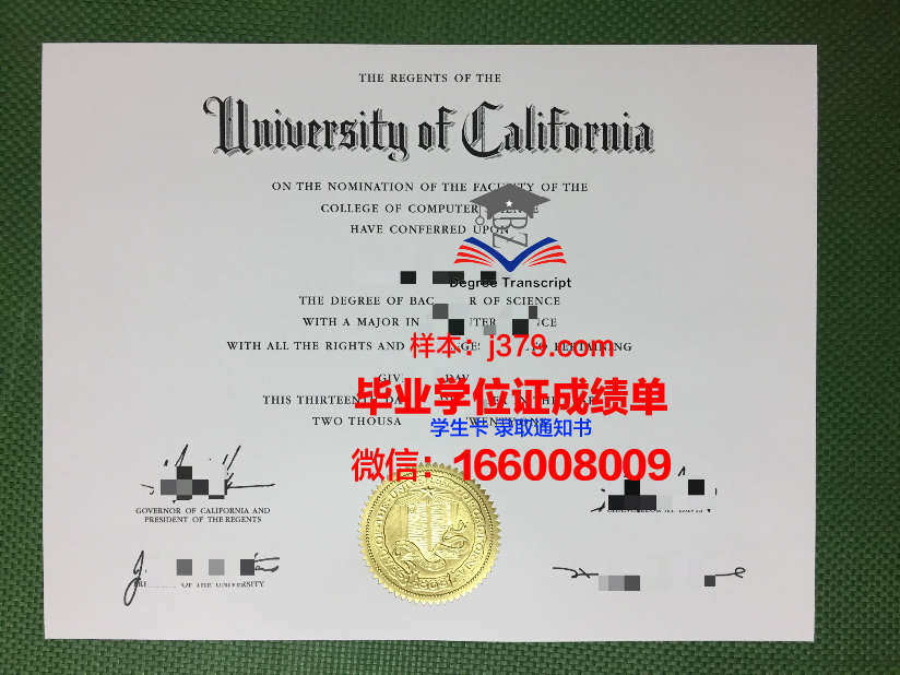 莱茵曼应用技术大学毕业证定制:品质与信誉的象征