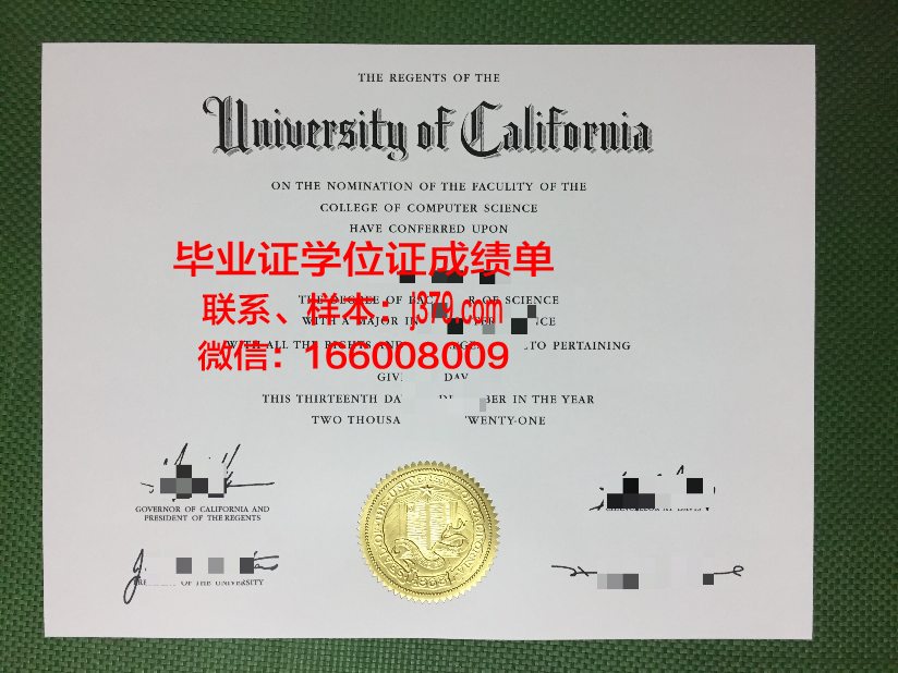 莱茵弗里德里希大学博士毕业证：承载荣誉与梦想的证书