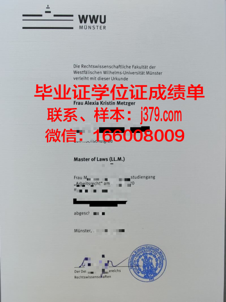明斯特艺术学院研究生毕业证
