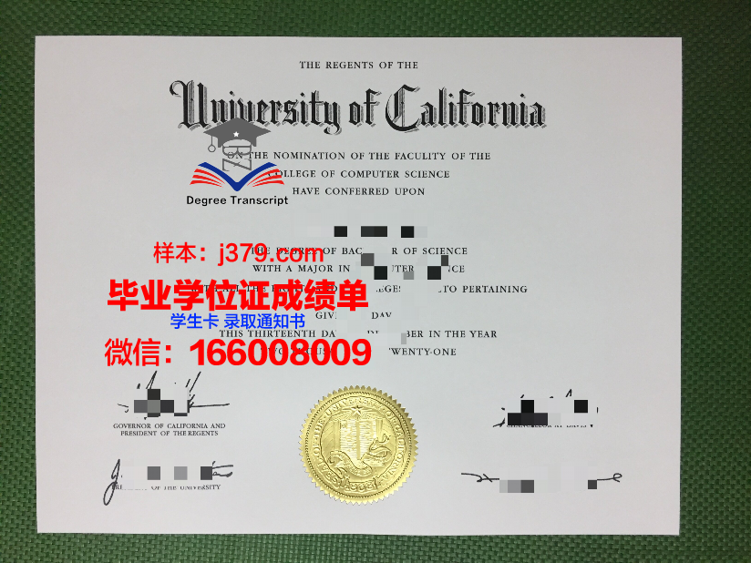 莱茵曼应用技术大学毕业证成绩单:一份承载荣誉与梦想的证明