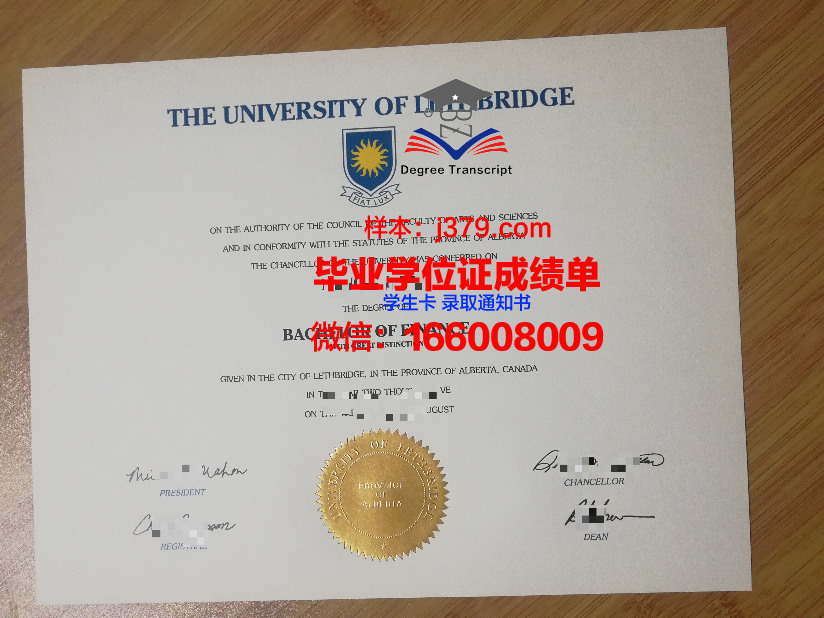 莱斯桥大学毕业证成绩单：一份承载荣誉与努力的证明