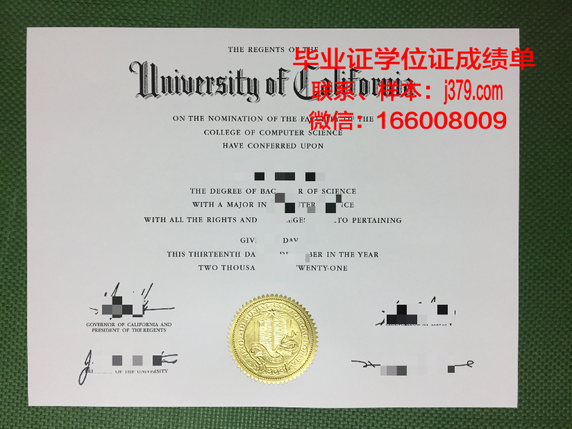 奈梅亨大学硕士毕业证：一张通往未来的通行证