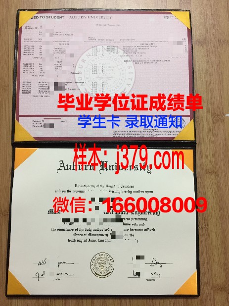 莱奥本矿业大学几年可以毕业证(莱奥本矿业大学排名)