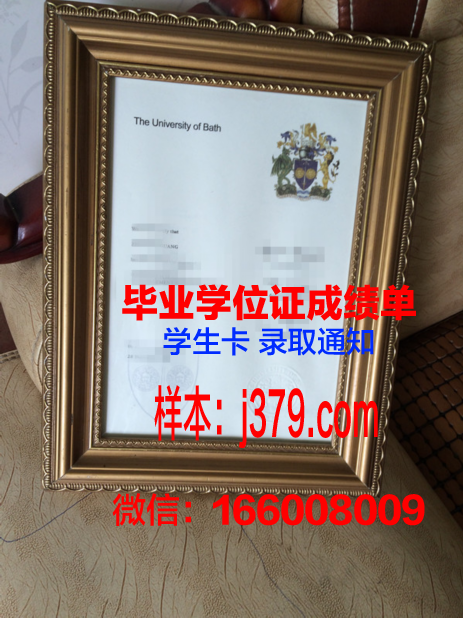 巴斯本科学位证：一份跨越国度的学术荣誉