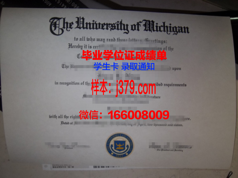 莱茵弗里德里希大学博士毕业证:承载荣誉与梦想的证书